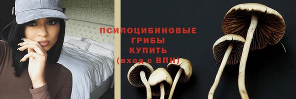 метадон Козельск