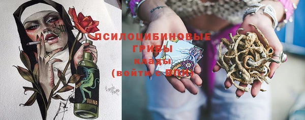 метадон Козельск