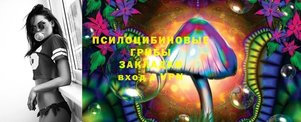 дурь Кодинск