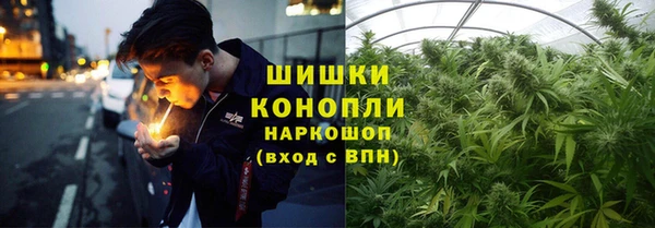 дурь Кодинск