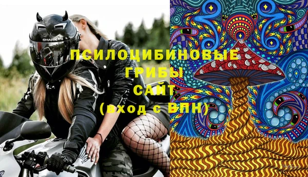 дурь Кодинск