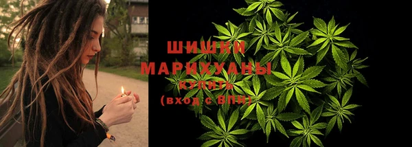 метадон Козельск